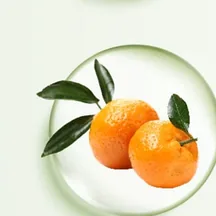 Citrus Aurantium Tachibana